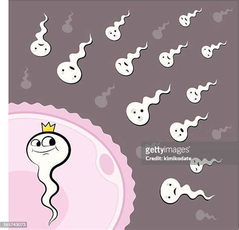 Conception Cartoon Photos And Premium High Res Pictures Getty Images