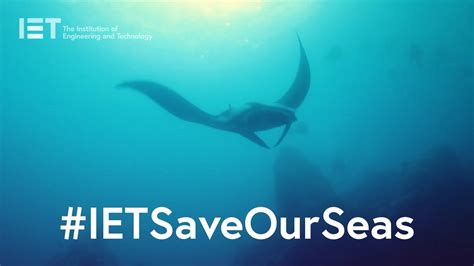 Help Solve One Of The Biggest Threats To Our Oceans Of All Time