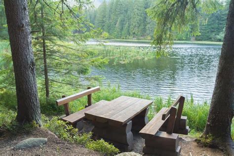 Picnic Table Seating In Forest Near Lake Stock Photo Image Of Seating