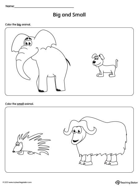 Big Vs Small Size Comparison Worksheets For Preschool And Kindergarten