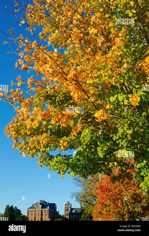 Spectacular Autumn Foliage Stock Photo Alamy