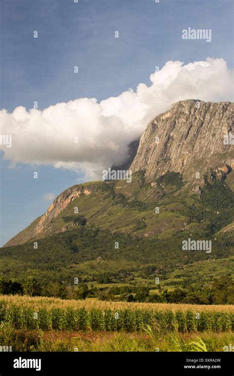 Mount Mulanje In Malawi Africa The Highest Peak In Africa Sount Of