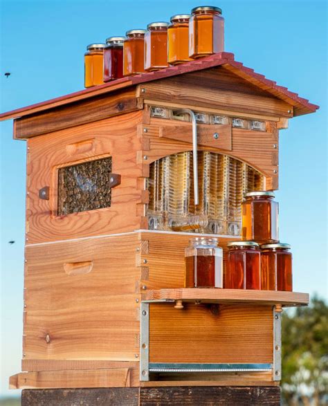 Coolest Beehive Yes You Should Do It Bee Keeping Backyard