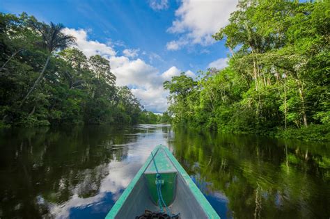 How To Travel To The Colombian Amazon Rainforest On A Budget