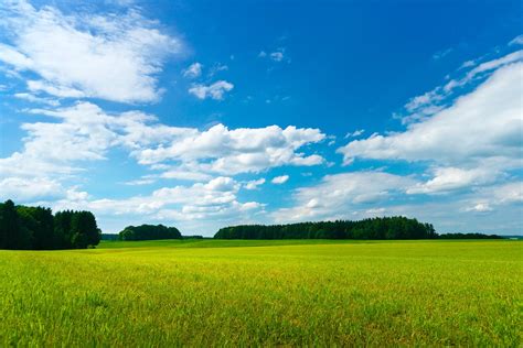 Green Meadows Blue Sky Free Photo Download Freeimages