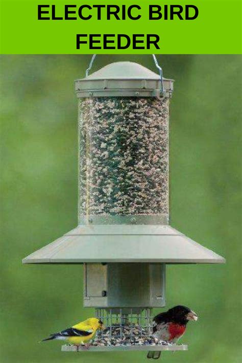 Wingscapes Autofeeder Automatic Bird Feeder Bird Feeders Feeder Bird