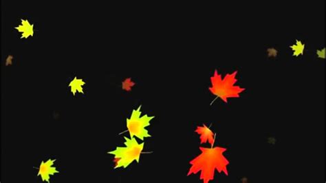 Falling Autumn Leaves Background Loop 3 Youtube Youtube