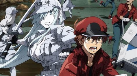 Netflix Adds Cells At Work S2 And Cells At Work Code Black This July 30