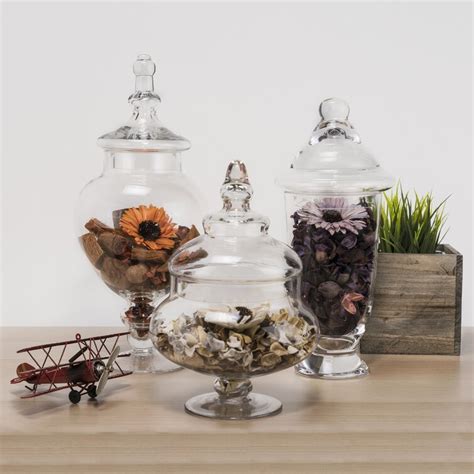 Charlton Home® 3 Piece Clear Glass Apothecary Jar Set Wayfair