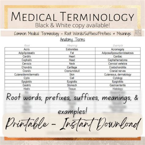 Medical Terminology Roots Prefixes Suffixes Meanings Cheat Sheet Etsy