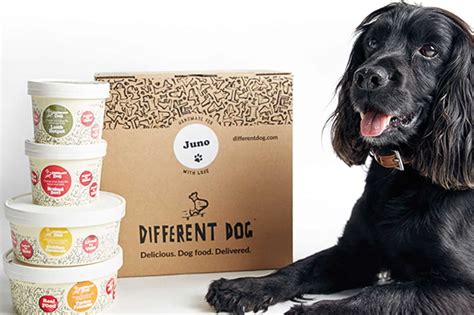 Among the most highly rated dog food subscription services on the market today is the farmer's dog, providing healthy pet food to your doorstep brimming with optimal nutrition within days of being cooked. Overfunding: UK-Based Fresh Dog Food Subscription Service ...