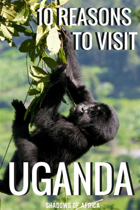 10 Reasons You Need To Visit Uganda From Kampala To The Nile To