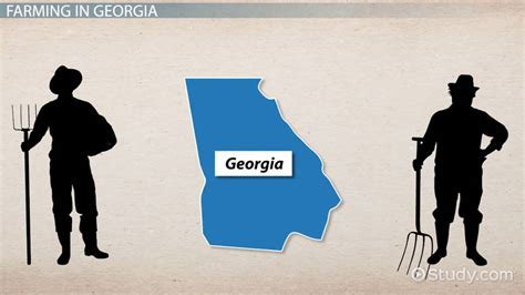50 Unveiled Interesting Facts About Georgia Colony Ultimate Guide 2024