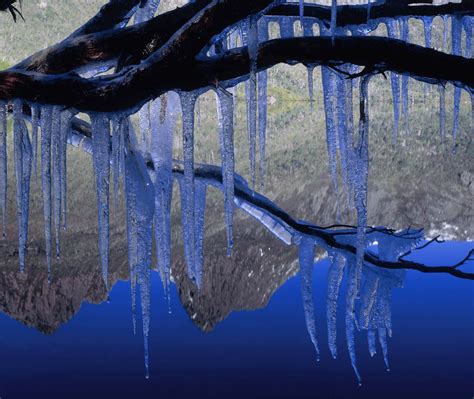 Icicles Cradle Mountain Bing Wallpaper Download