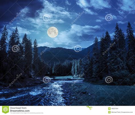 Mountain River In Pine Forest At Night Stock Photo Image