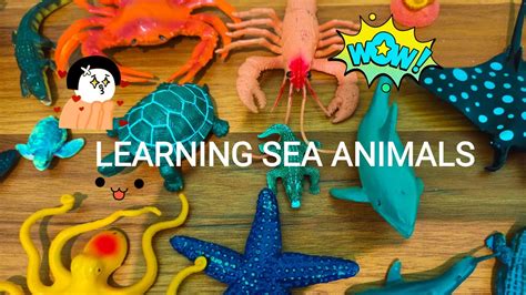 Play Hide And Seek With Sea Animals Toys Ide Bermain Belajar Hewan