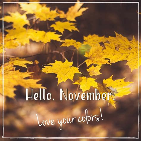 November Colors in 2020 | Hello november, November quotes ...