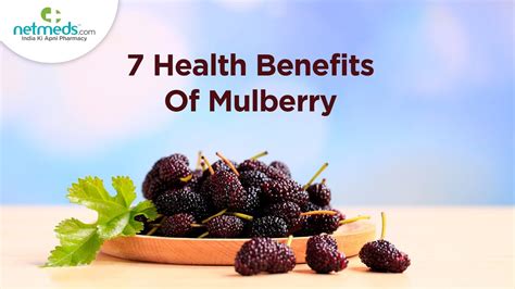 7 Amazing Health Benefits Of Mulberry Youtube