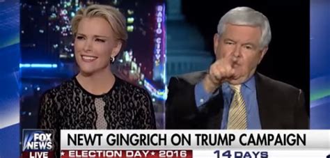 Newt Gingrich Told Megyn Kelly She Was Fascinated With Sex In Angry