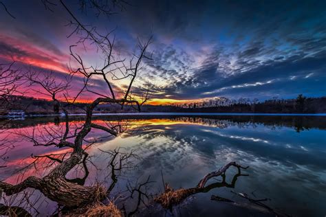Hd Wallpaper Lake Water Tree Branches Night Sunset Clouds Sky Nature