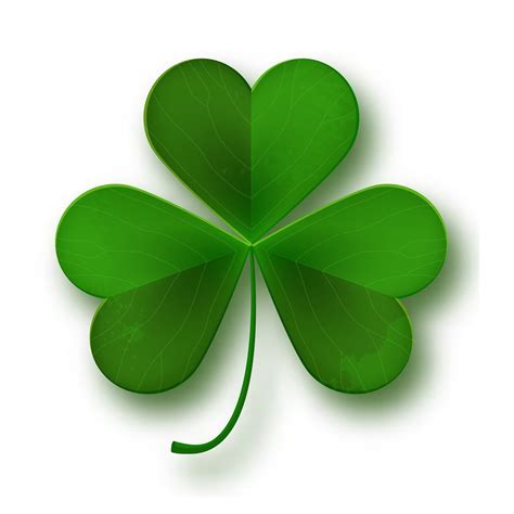 What Is A Shamrock Limas Blog