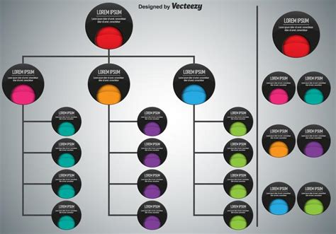 Modern Organization Chart