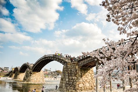 100 Places To See Cherry Blossom In Japan Chugoku Gaijinpot Travel