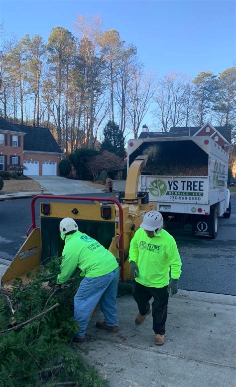 All tree, tree services of woodstock ga is a family owned and operated tree service company with a reputation for professionalism, superior service and protecting client property. YS Tree Service | Tree Service in Woodstock, GA