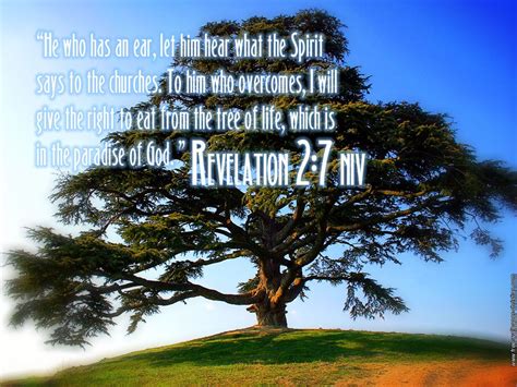 The tree of life replanted. Revelation 2:7 - Tree of Life | Christian wallpaper ...