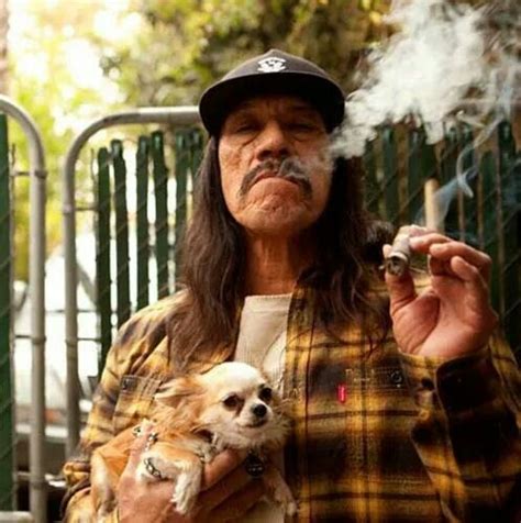 A child drug addict and criminal. Danny Trejo knows that Chihuahuas are the BEST DOG EVER! | Black and white portraits, Danny ...