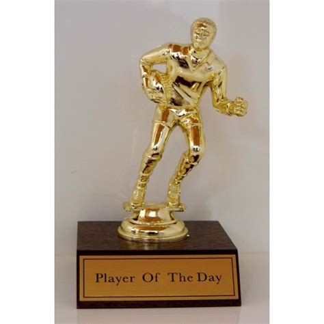 Rugby Player Of The Day Timaru Engravers And Tware