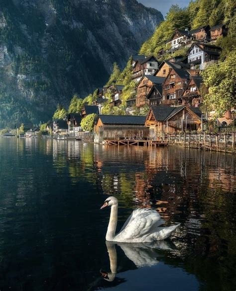 A Picturesque Village In Austria Pics