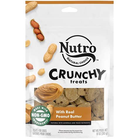Nutro Crunchy Treats With Real Peanut Butter Dog Treats Shop Dogs At