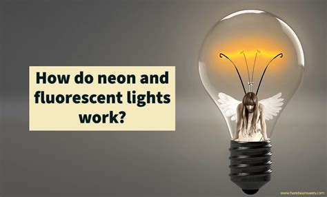 How Do Neon And Fluorescent Lights Work