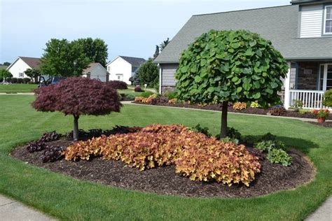 Deer Resistant Dwarf Trees For Landscaping — Randolph Indoor And