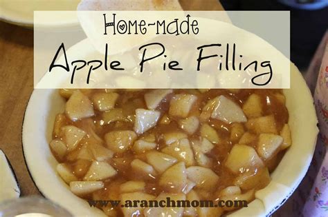 Apple Pie Filling Recipe From Scratch Perfect Apple Pie Recipe Pillsbury Com Making Apple
