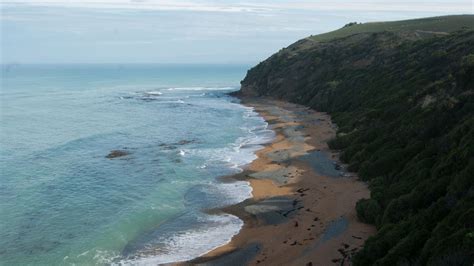 Bushy Beach Scenic Reserve Places To Go In Otago