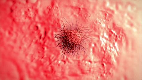 Cancer Cell With High Details Stock Footage Video 3600104 Shutterstock