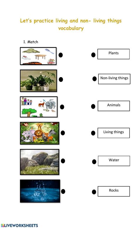 Let S Practice Living And Non Living Things Interactive Worksheet 1st Grade Activities
