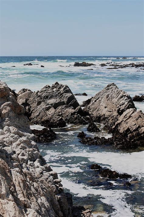 Now, there are just a few hundred. 17 Mile Drive | Ocean | Summer | Wander | Wanderlust | Big ...