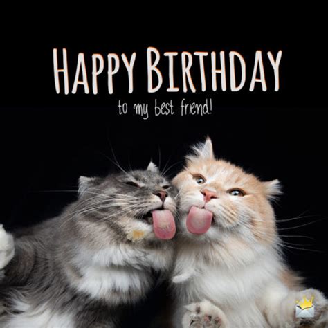 Birthday Wishes For My Best Female Friend Happy Birthday Amiga