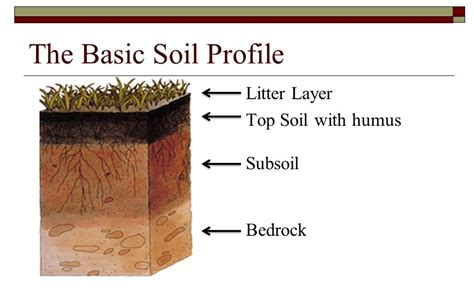 Topsoil Subsoil Bedrock