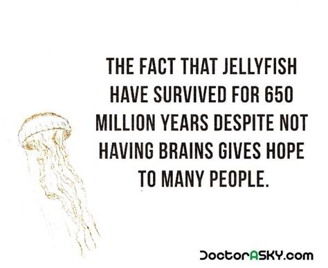 The Face That Jellyfish Have Survived For 650 Million Years Despite Not