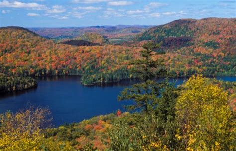 6 Fabulous Fall Getaways In Eastern Canada Everything Zoomer