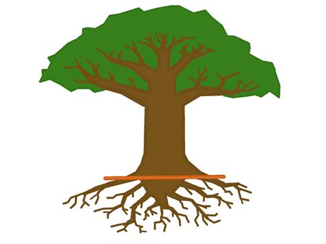 Безплатни клипове на дървесни корени Изтеглете безплатни картинки