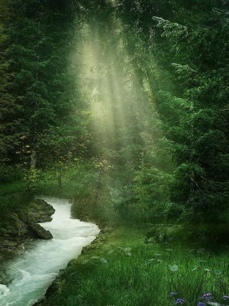 Secret Paths~☽ ☽ Photography Backdrops Forest Backdrops Forest Pictures