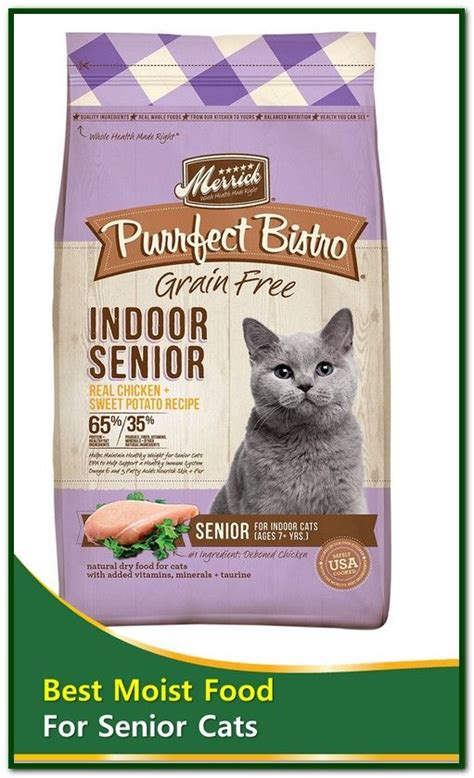 Current advice from the american association of feline practitioners is that the best senior cat food will directly address. Best Moist Cat Food For Senior Cats | Best cat food ...