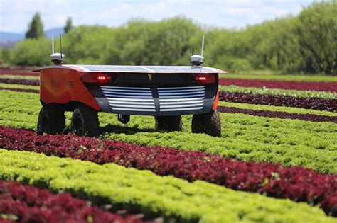 An Australian Born Solar Powered Agricultural Farming Robot Rippa