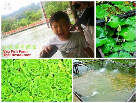 Like the name implies, this restaurant has the vegetables grown are pesticide free and are used in their dishes, so they taste fresh and sweeter too. 追食富迪: Veg Fish Farm Thai Restaurant @山水菜鱼酒家 at Jalan ...