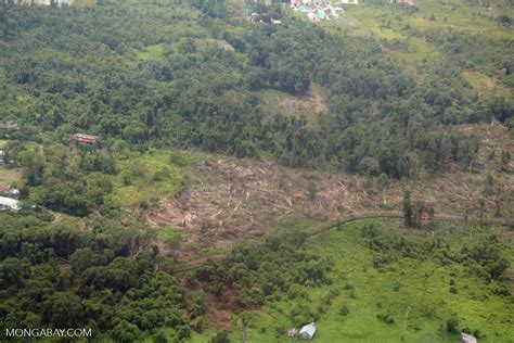 Plane View Of Deforestation Kalimantan Borneo Indonesian Borneo